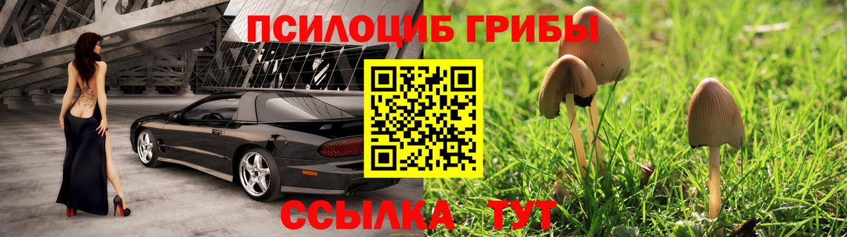 Псилоцибиновые грибы ЛСД  Вход с VPN  где продают   Галлюциногенные грибы прущие грибы  Сегежа 