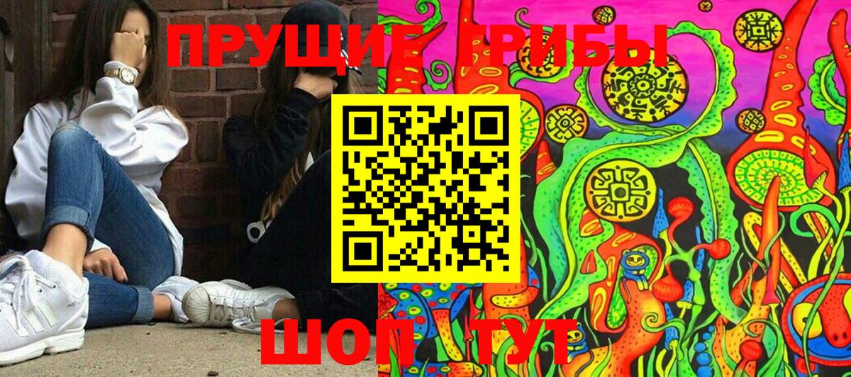 Псилоцибиновые грибы GOLDEN TEACHER Сегежа